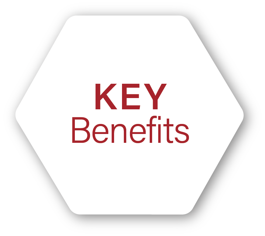 Key benefits of professional communication and fallback communication solutions